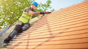 Best Roof Maintenance and Cleaning  in Plover, WI