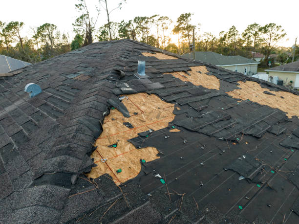 Best Storm Damage Roof Repair  in Plover, WI